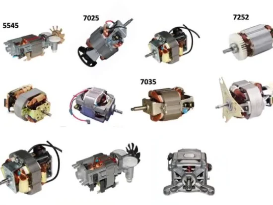 Motore universale Motore universale Macinacaffè a lunga durata ad alta velocità e basse vibrazioni