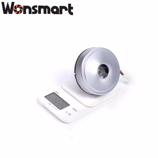 Soffiatore per aspirapolvere DC senza spazzole Wonsmart 48V 10kpa